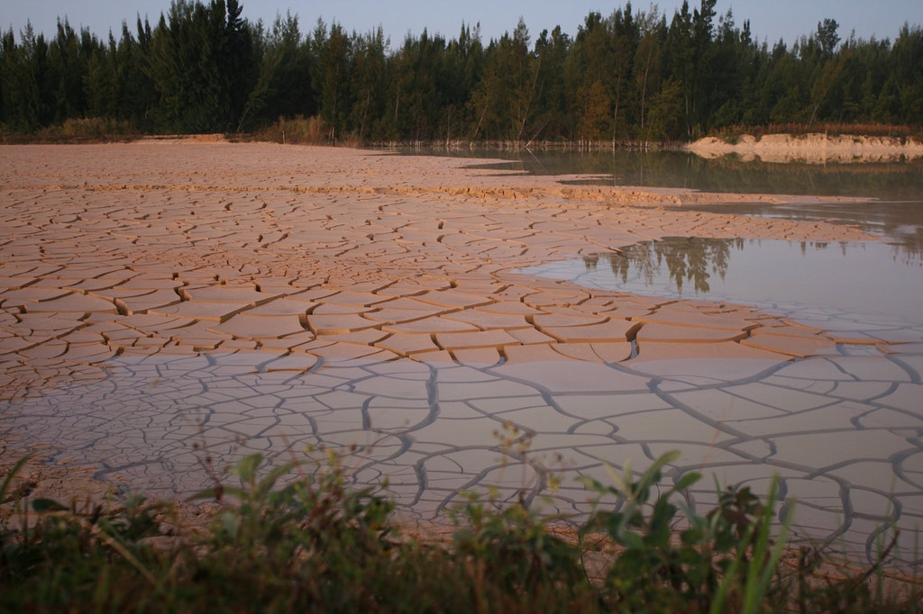 lakebedclay