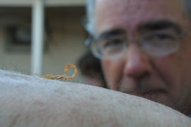 Professor Guy Van Cleave