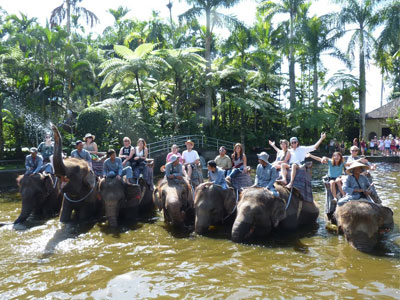 Students from a previous Bali Study Abroad program